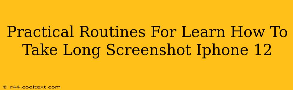 Practical Routines For Learn How To Take Long Screenshot Iphone 12