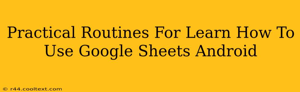 Practical Routines For Learn How To Use Google Sheets Android