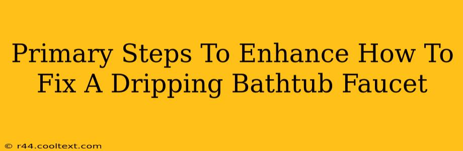 Primary Steps To Enhance How To Fix A Dripping Bathtub Faucet