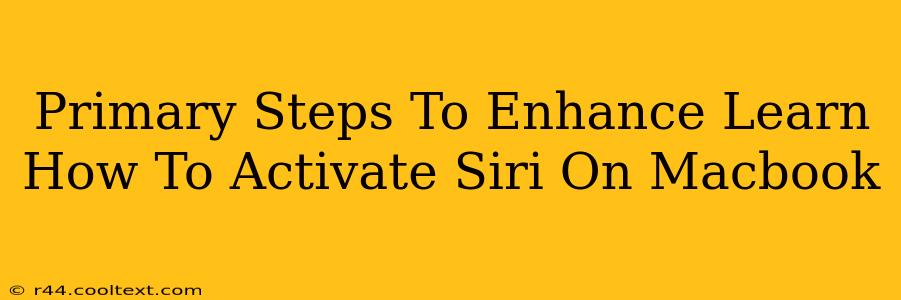 Primary Steps To Enhance Learn How To Activate Siri On Macbook