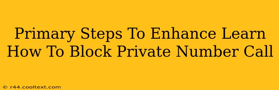 Primary Steps To Enhance Learn How To Block Private Number Call