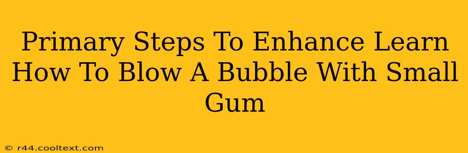 Primary Steps To Enhance Learn How To Blow A Bubble With Small Gum