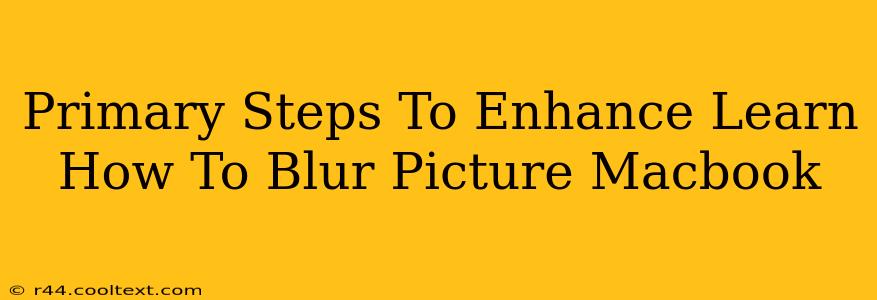 Primary Steps To Enhance Learn How To Blur Picture Macbook