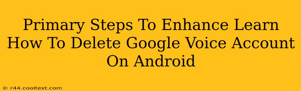 Primary Steps To Enhance Learn How To Delete Google Voice Account On Android