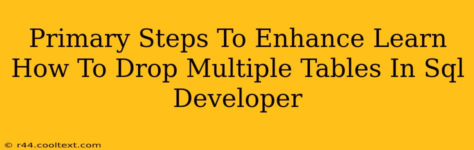 Primary Steps To Enhance Learn How To Drop Multiple Tables In Sql Developer