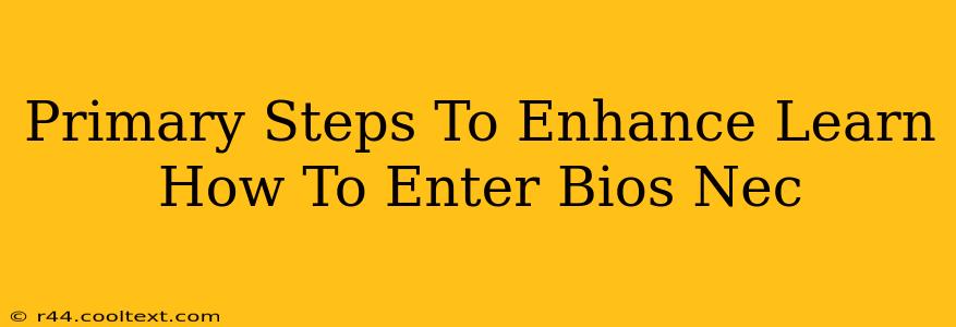 Primary Steps To Enhance Learn How To Enter Bios Nec