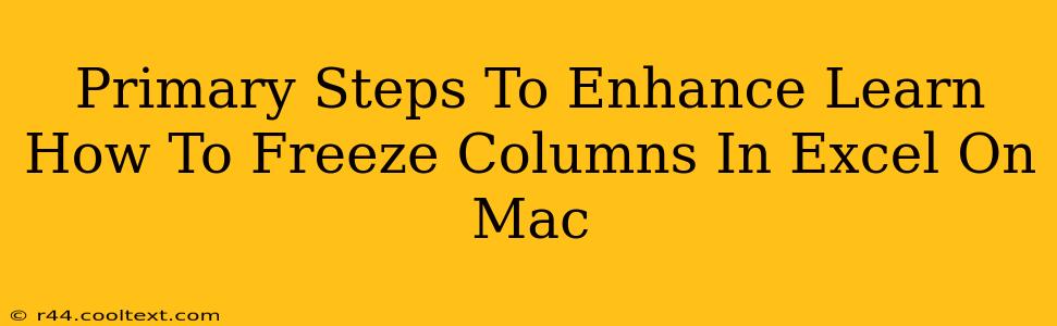 Primary Steps To Enhance Learn How To Freeze Columns In Excel On Mac