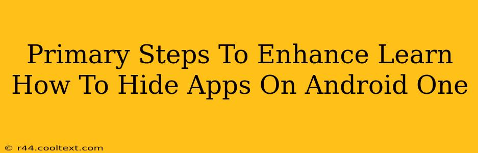 Primary Steps To Enhance Learn How To Hide Apps On Android One