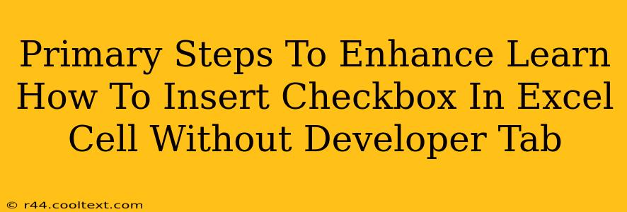 Primary Steps To Enhance Learn How To Insert Checkbox In Excel Cell Without Developer Tab