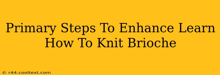 Primary Steps To Enhance Learn How To Knit Brioche