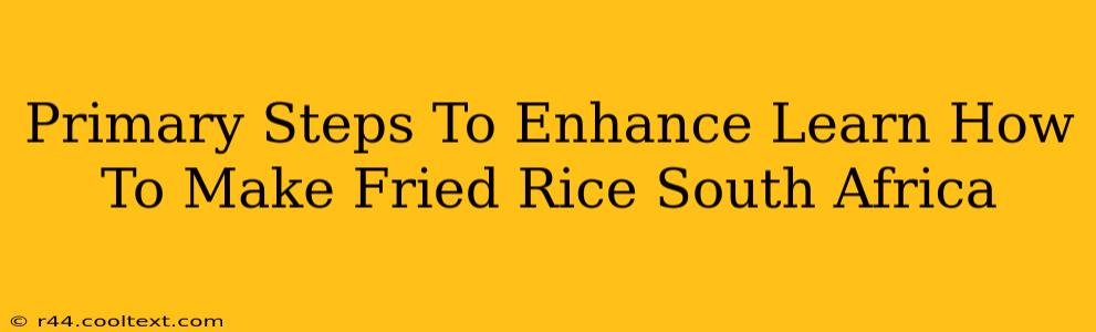 Primary Steps To Enhance Learn How To Make Fried Rice South Africa