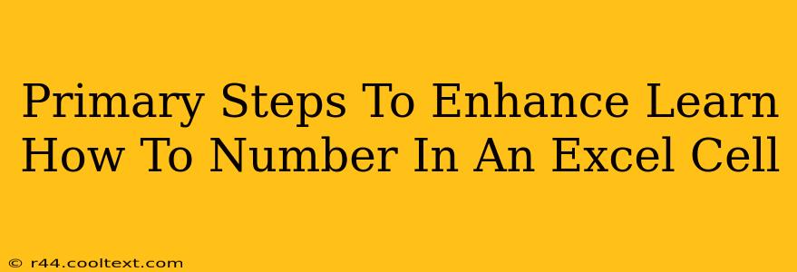 Primary Steps To Enhance Learn How To Number In An Excel Cell