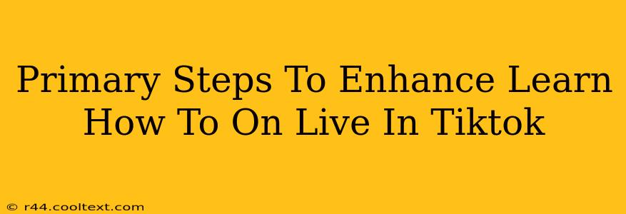 Primary Steps To Enhance Learn How To On Live In Tiktok