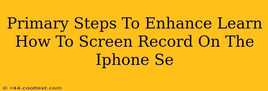 Primary Steps To Enhance Learn How To Screen Record On The Iphone Se