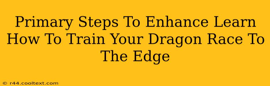 Primary Steps To Enhance Learn How To Train Your Dragon Race To The Edge