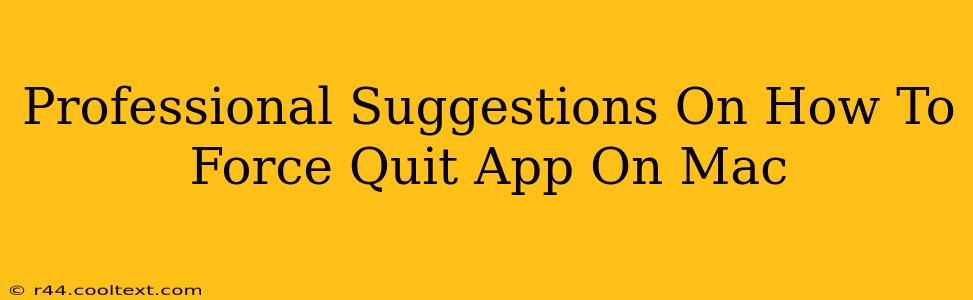 Professional Suggestions On How To Force Quit App On Mac