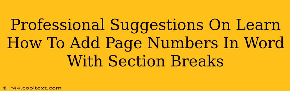 Professional Suggestions On Learn How To Add Page Numbers In Word With Section Breaks