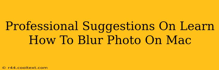 Professional Suggestions On Learn How To Blur Photo On Mac