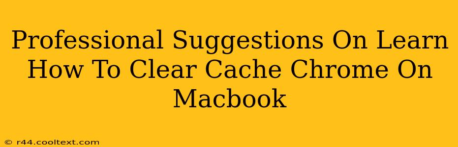 Professional Suggestions On Learn How To Clear Cache Chrome On Macbook