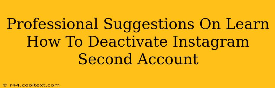 Professional Suggestions On Learn How To Deactivate Instagram Second Account