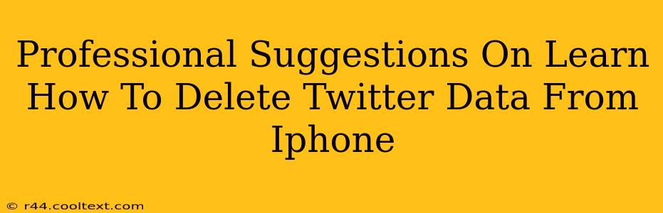 Professional Suggestions On Learn How To Delete Twitter Data From Iphone