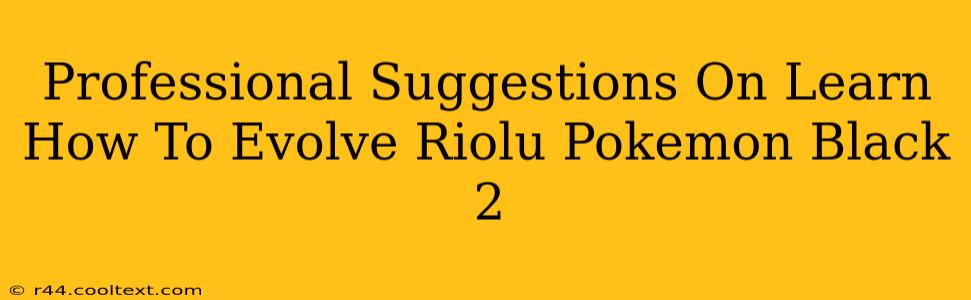 Professional Suggestions On Learn How To Evolve Riolu Pokemon Black 2