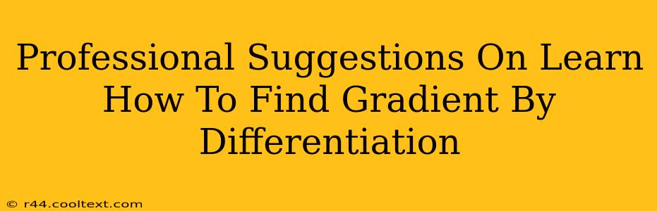 Professional Suggestions On Learn How To Find Gradient By Differentiation