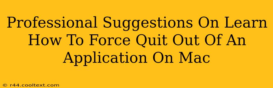 Professional Suggestions On Learn How To Force Quit Out Of An Application On Mac