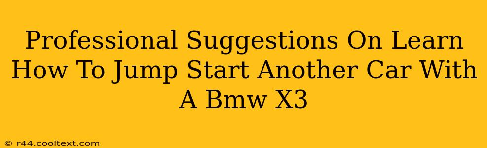 Professional Suggestions On Learn How To Jump Start Another Car With A Bmw X3