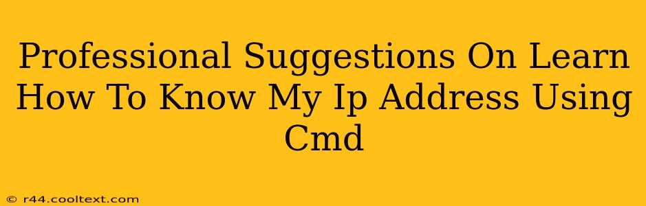 Professional Suggestions On Learn How To Know My Ip Address Using Cmd