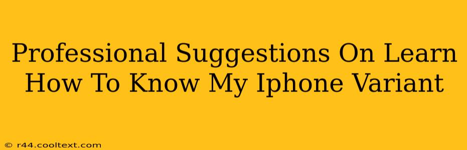 Professional Suggestions On Learn How To Know My Iphone Variant