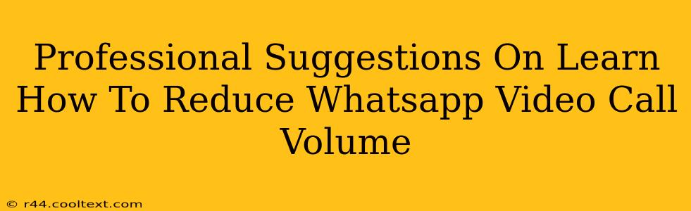 Professional Suggestions On Learn How To Reduce Whatsapp Video Call Volume