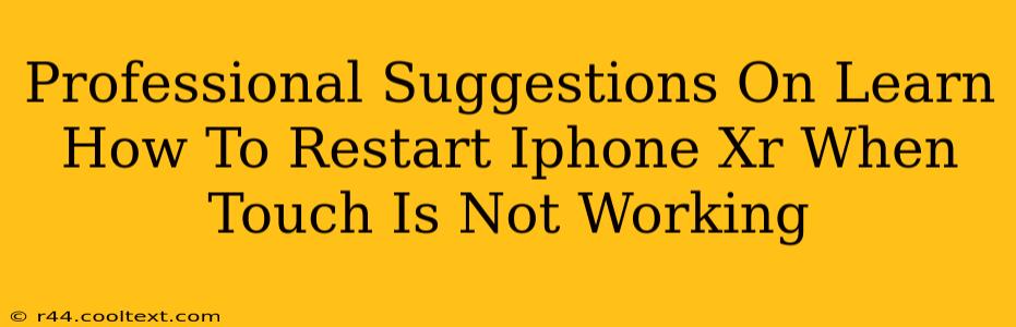 Professional Suggestions On Learn How To Restart Iphone Xr When Touch Is Not Working