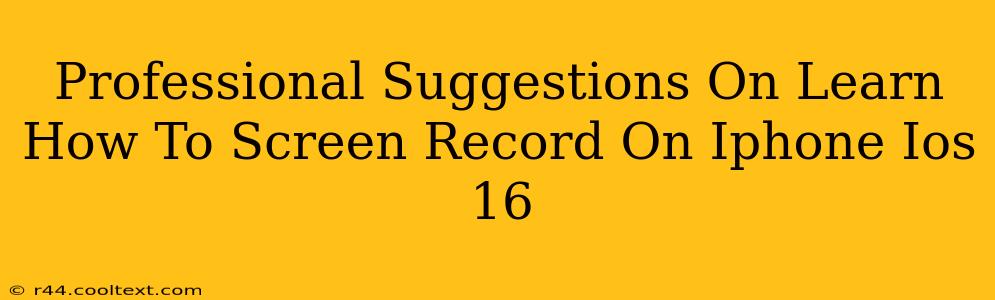 Professional Suggestions On Learn How To Screen Record On Iphone Ios 16