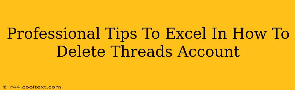 Professional Tips To Excel In How To Delete Threads Account