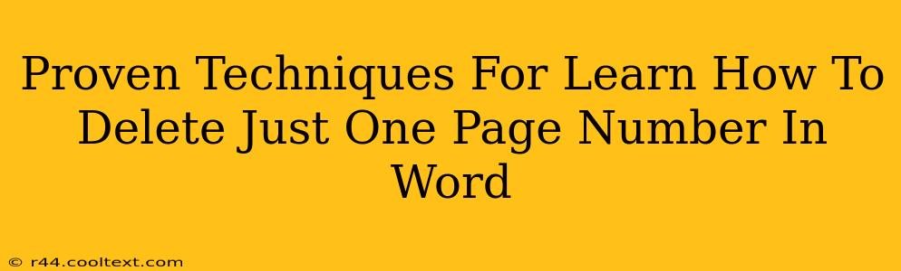 Proven Techniques For Learn How To Delete Just One Page Number In Word