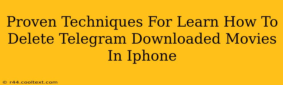 Proven Techniques For Learn How To Delete Telegram Downloaded Movies In Iphone