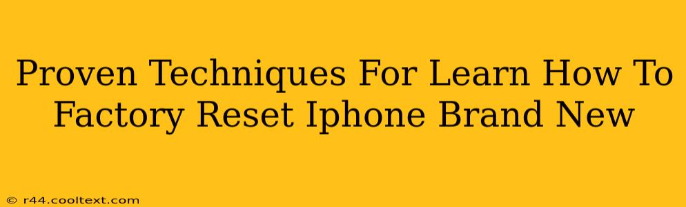 Proven Techniques For Learn How To Factory Reset Iphone Brand New