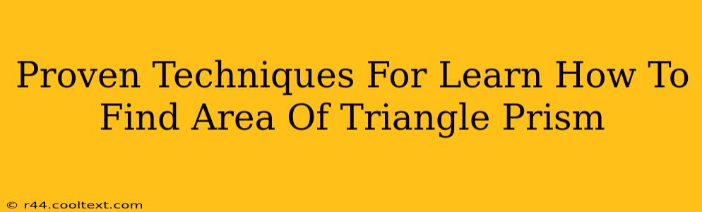 Proven Techniques For Learn How To Find Area Of Triangle Prism