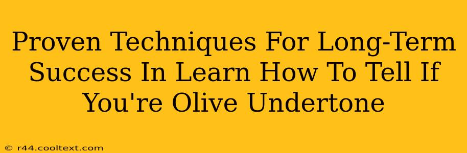 Proven Techniques For Long-Term Success In Learn How To Tell If You're Olive Undertone