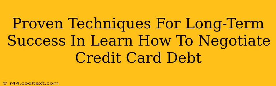 Proven Techniques For Long-Term Success In Learn How To Negotiate Credit Card Debt