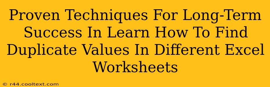 Proven Techniques For Long-Term Success In Learn How To Find Duplicate Values In Different Excel Worksheets