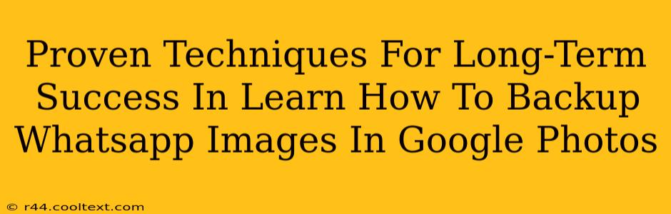 Proven Techniques For Long-Term Success In Learn How To Backup Whatsapp Images In Google Photos