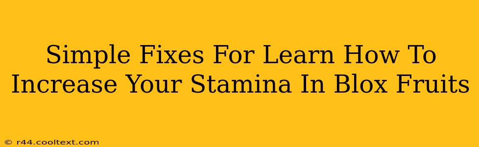 Simple Fixes For Learn How To Increase Your Stamina In Blox Fruits