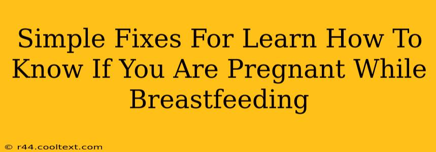 Simple Fixes For Learn How To Know If You Are Pregnant While Breastfeeding