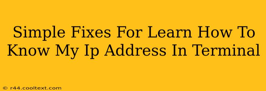 Simple Fixes For Learn How To Know My Ip Address In Terminal