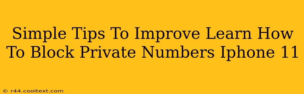 Simple Tips To Improve Learn How To Block Private Numbers Iphone 11