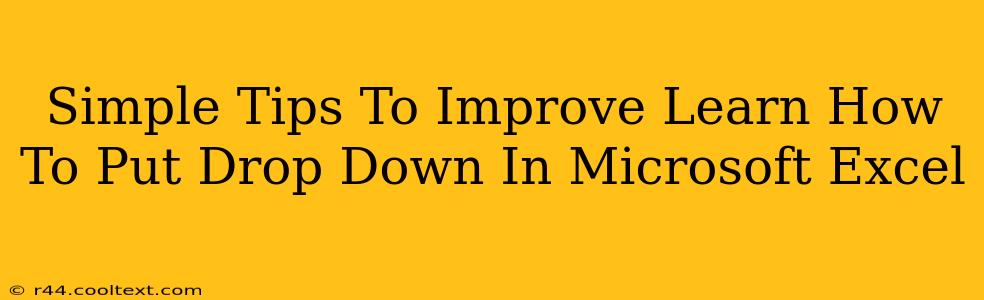 Simple Tips To Improve Learn How To Put Drop Down In Microsoft Excel