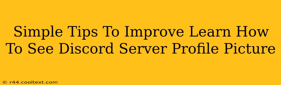 Simple Tips To Improve Learn How To See Discord Server Profile Picture