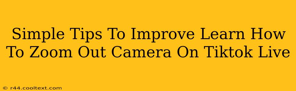 Simple Tips To Improve Learn How To Zoom Out Camera On Tiktok Live
